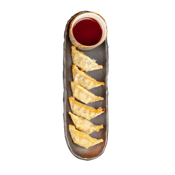 Gemüse-Gyoza